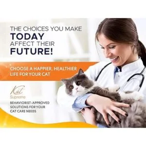 KatSupreme Cuencos inclinados para comida para gatos_6