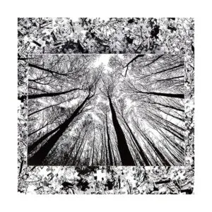 Bgraamiens Puzzle Bosque en blanco y negro 1000 piezas_6