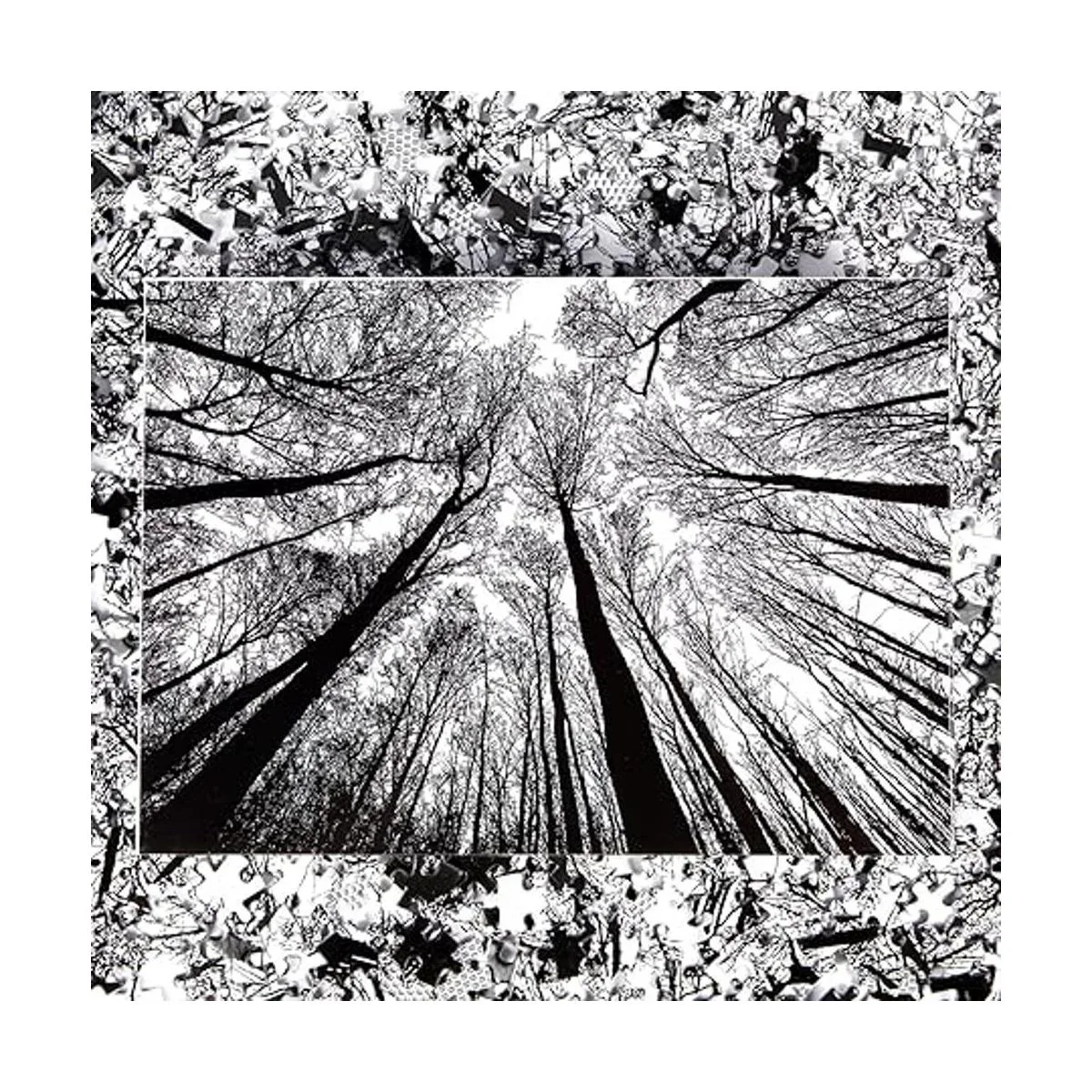Bgraamiens Puzzle Bosque en blanco y negro 1000 piezas_6