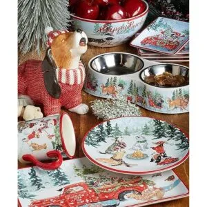 Certified International Special Delivery Juego de platos_2