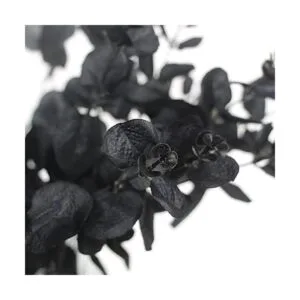 Tinsow 5 tallos de eucalipto artificiales negros ramas de
