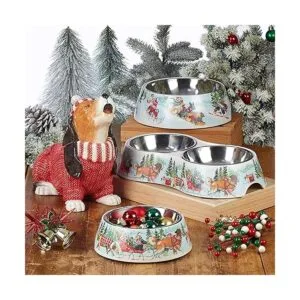 Certified International Special Delivery Juego de platos_5