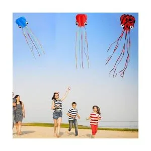 Motiloo Software Octopus Flyer Kite paquete de cometas 3_6