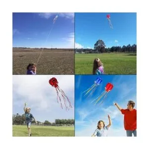 Motiloo Software Octopus Flyer Kite paquete de cometas 3_5