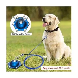 Cable y estaca de amarre para perros anclaje giratorio de_2