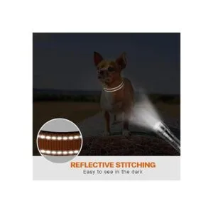 Taglory Collar reflectante para perros con hebilla de_5