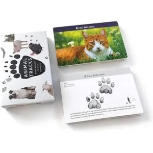 Juego de pistas de animales para niños de 4 a 8 años_3