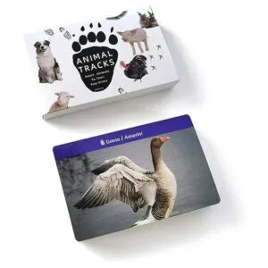 Juego de pistas de animales para niños de 4 a 8 años_4