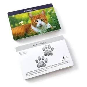 Juego de pistas de animales para niños de 4 a 8 años_5