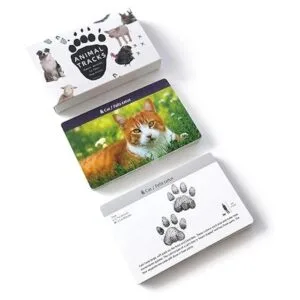 Juego de pistas de animales para niños de 4 a 8 años_2