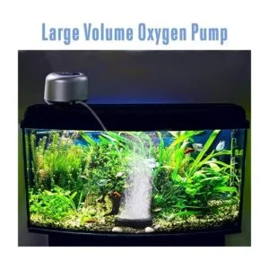 AQQA Aquarium Air Pump 5W 10W Powerful 2 OutletsFashion_4