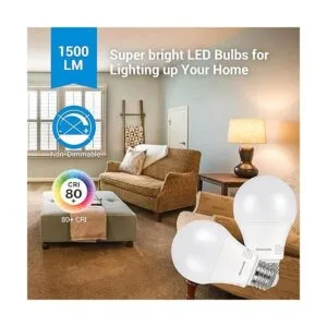 DEWENWILS Paquete de 8 bombillas LED A19 equivalente a 100_2