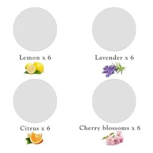 Almohadillas perfumadas de repuesto para fregona de vapor_2