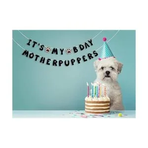 Pancarta de cumpleaños XWM 12PB_5