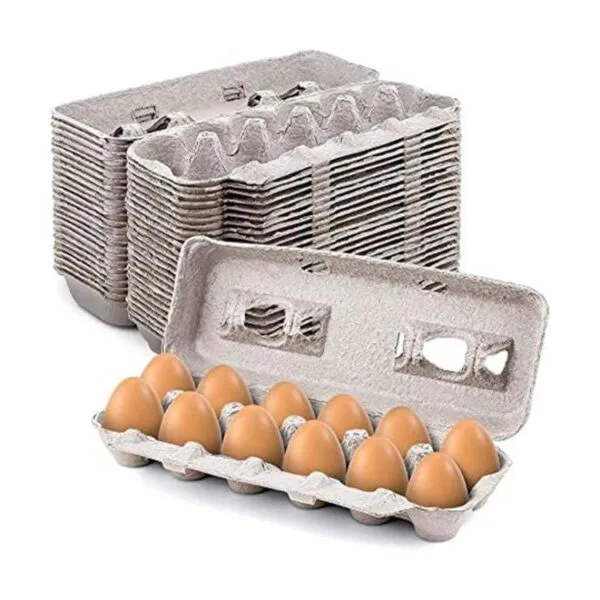 MT Products Cajas de huevos de pulpa natural en blanco con_1