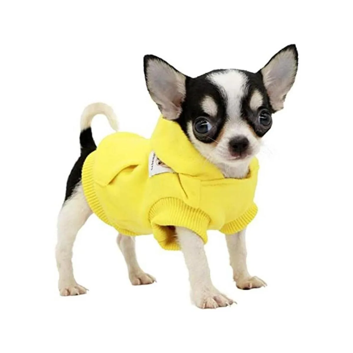 Lophipets Sudaderas de algodón con capucha para perros