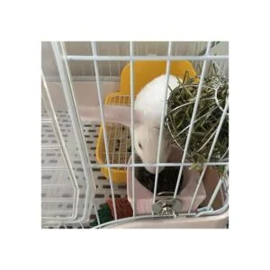 Gutongyuan Cuenco para animales pequeños comedero de