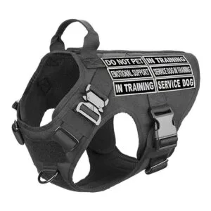 Service Dog in Training Do Not Pet Emotional Support_5