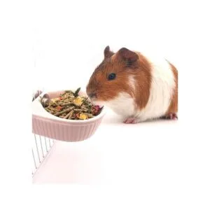 Gutongyuan Cuenco para animales pequeños comedero de