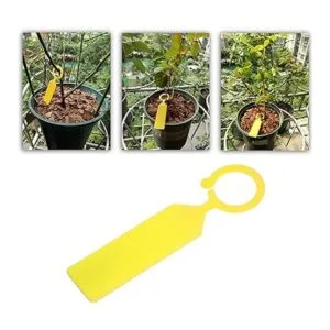 Kare Kind Etiquetas de plástico para plantas colgantes_6