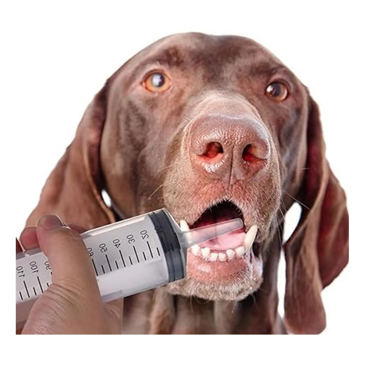 2 jeringas grandes de plástico jeringas industriales de_6