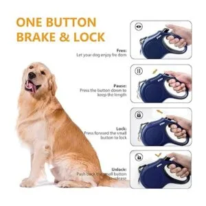 Fida Correa retráctil para perro con dispensador y bolsas