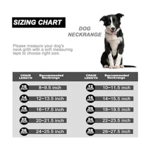 Collar de cadena para perro con cierre de circonita 0.472