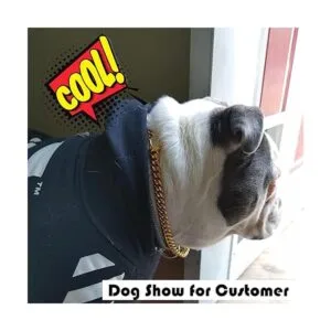 Collar de cadena para perro con cierre de circonita 0.472