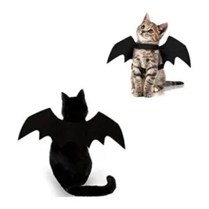 Disfraz de gato de Halloween con alas de murciélago ropa