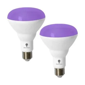 BR30 Paquete de 2 bombillas LED negras 13 W equivalente_1