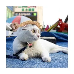 6 piezas de disfraz para mascotas y gatos gafas de sol