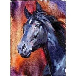 DIY Bimkole pintura al óleo pintura de caballo por número_1