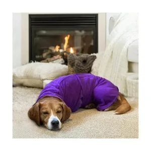 Geyecete Abrigo de secado rápido para perro bolsa de_2