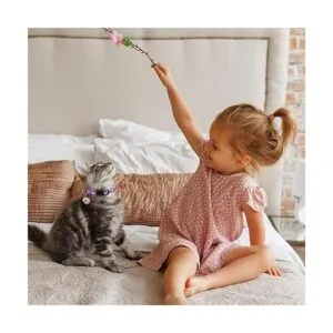 2 collares de gato con campana lunas estrellas gatito