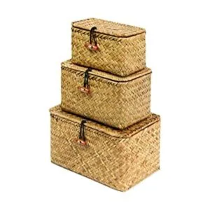 FEILANDUO Cestas de estante con tapa juego de 3 cajas de_1