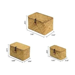 FEILANDUO Cestas de estante con tapa juego de 3 cajas de_2