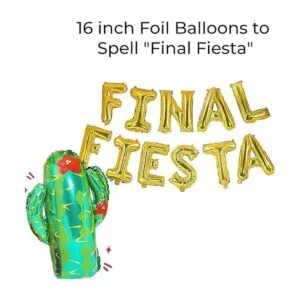 Decoraciones de fiesta de despedida de