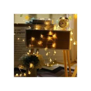 ANJAYLIA Guirnalda de luces LED con pilas_2