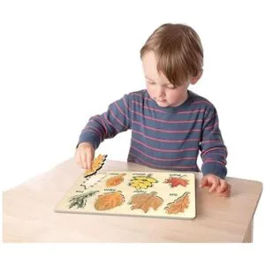 Rompecabezas educativos de madera de hoja juguetes de