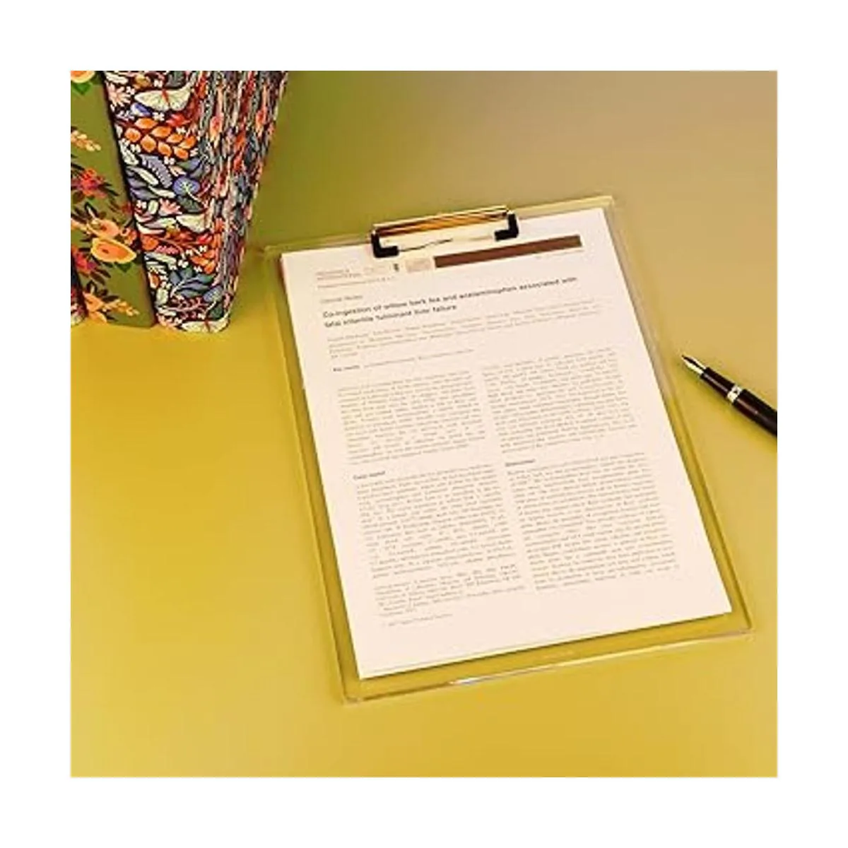 Portapapeles de acrílico transparente con clip dorado_3