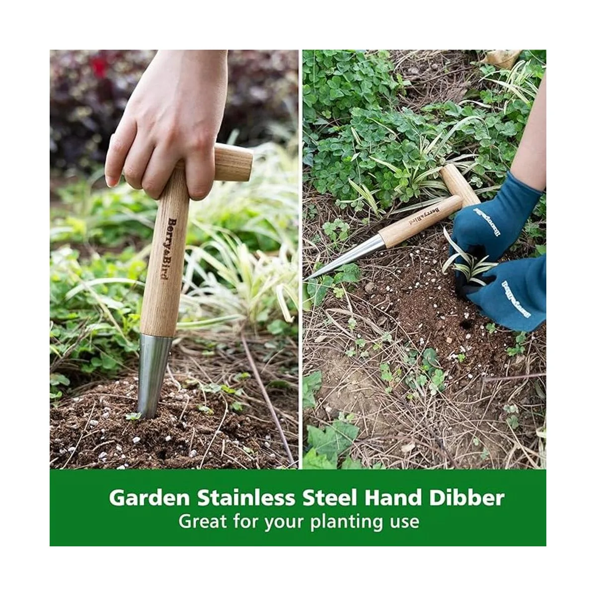 BerryBird Dibbler de mano de acero inoxidable con mango_3