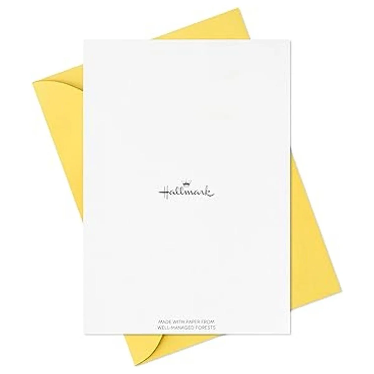 Hallmark Surtido de tarjetas de agradecimiento colores_6