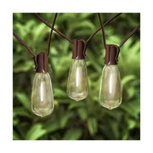 Cadena de luces LED ST40 de 20 pies para exteriores con 22