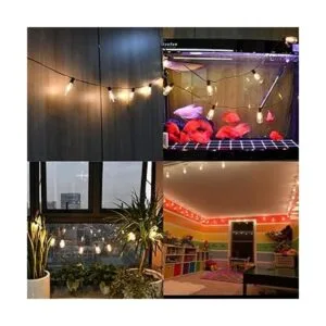 Cadena de luces LED ST40 de 20 pies para exteriores con 22