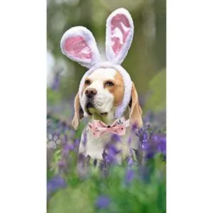 Elegante collar para perro con moño cómodo moño para