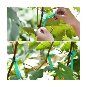 TELENT OUTDOORS 2 cintas elásticas de 150 pies x 12