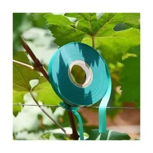 TELENT OUTDOORS 2 cintas elásticas de 150 pies x 12