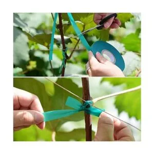 TELENT OUTDOORS 2 cintas elásticas de 150 pies x 12