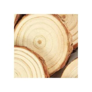50 rebanadas de madera natural de 5.0 a 2.6 in CertBuy