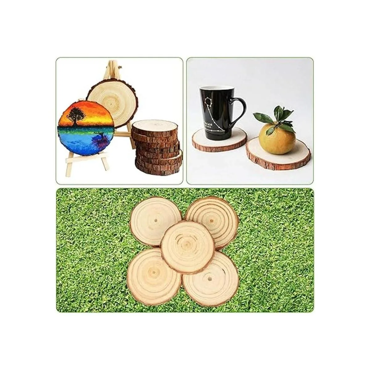 50 rebanadas de madera natural de 5.0 a 2.6 in CertBuy